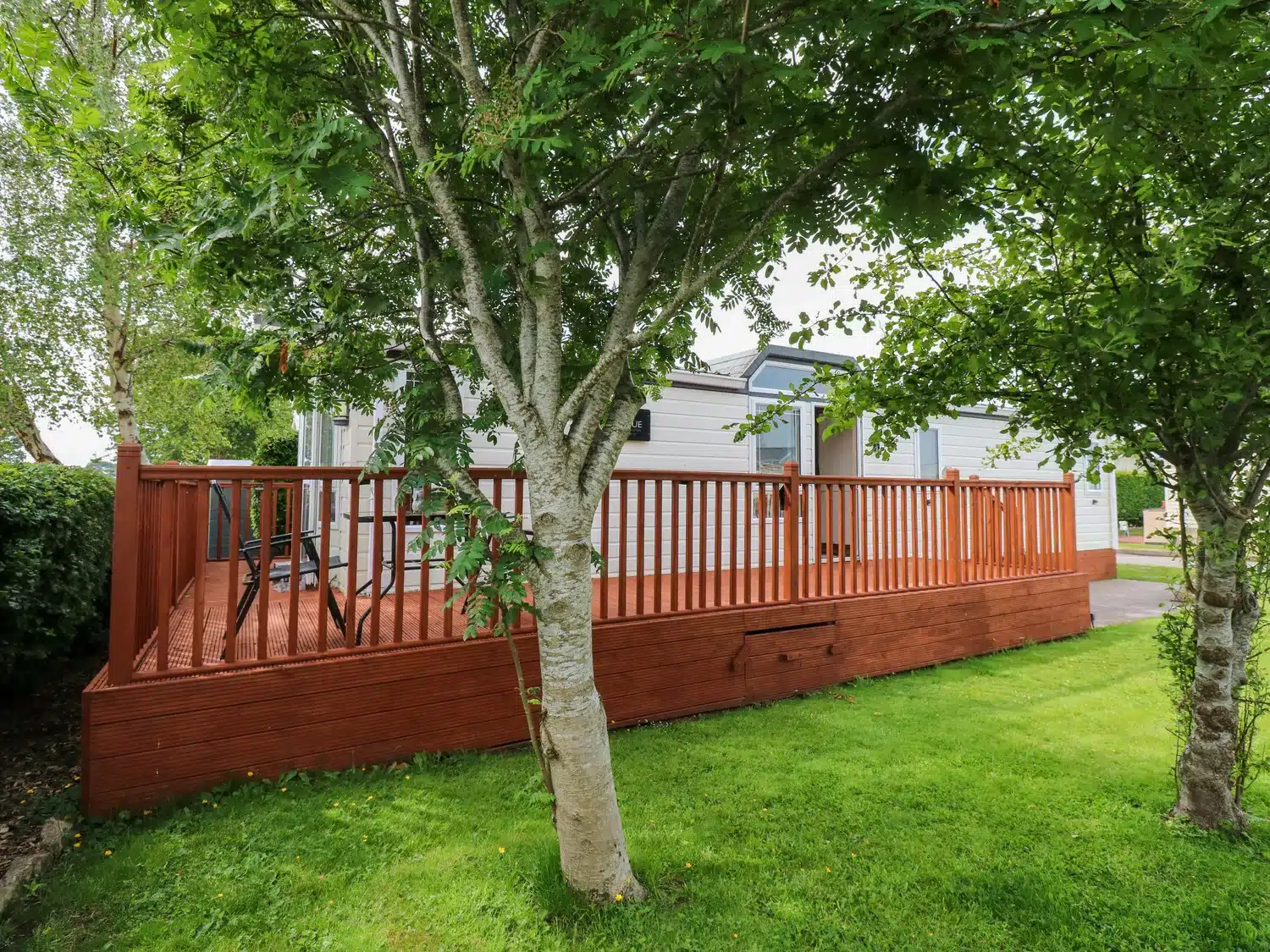 sc_1749739840_1177745_34