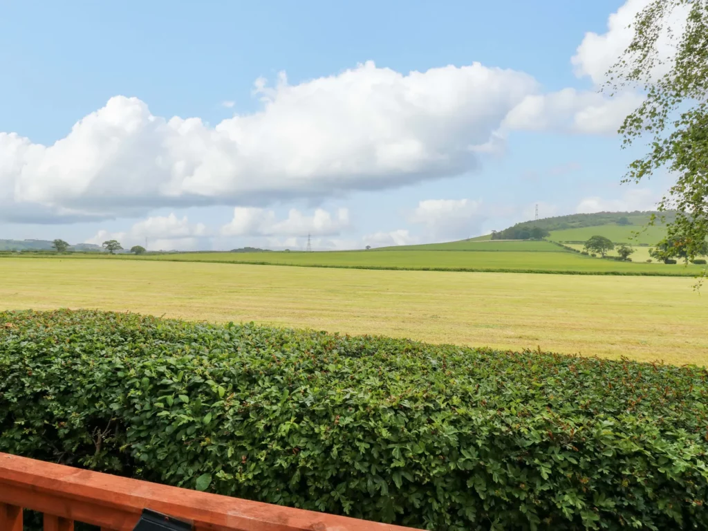 sc_1749739846_1177745_35