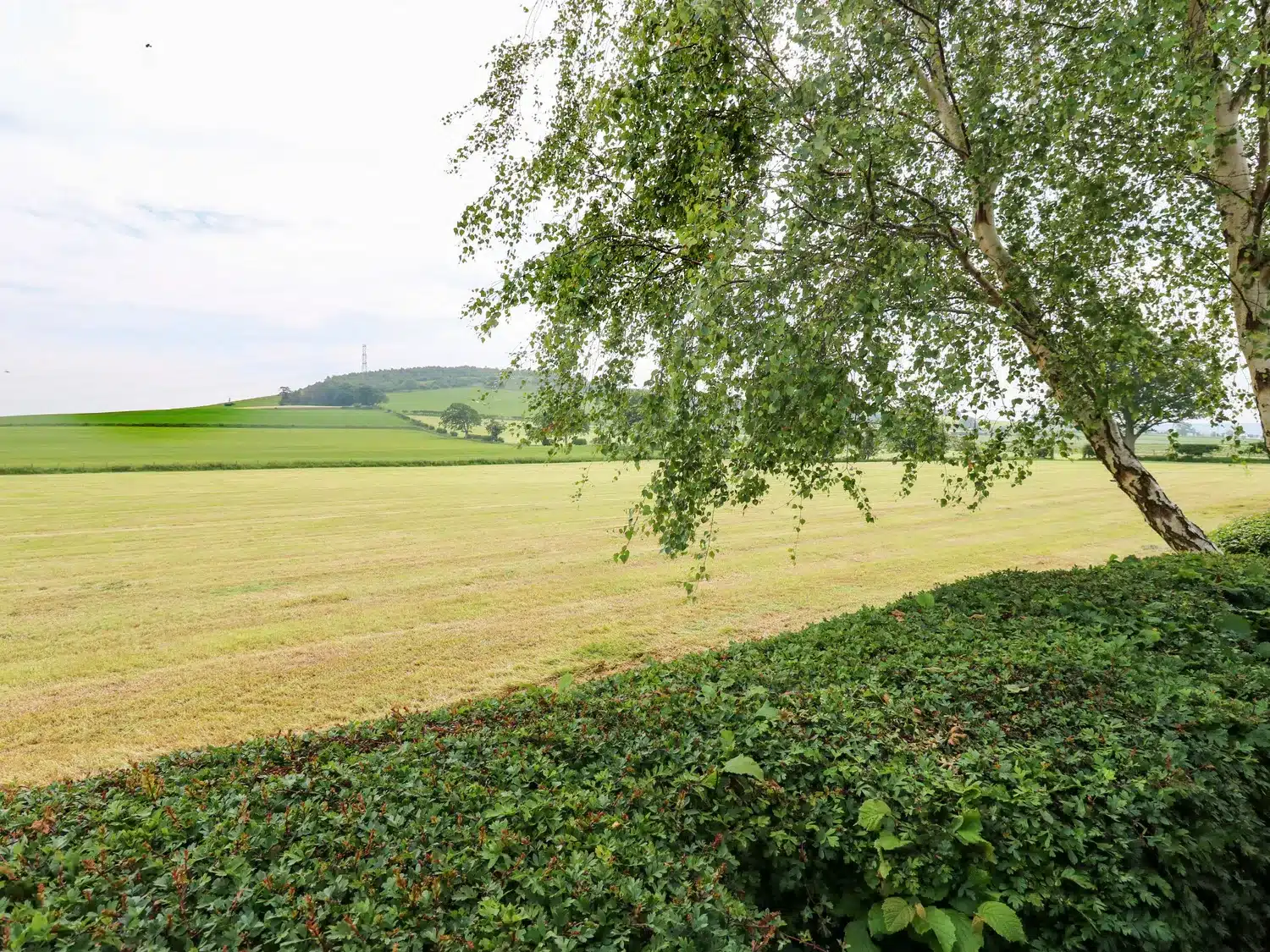 sc_1749739855_1177745_36