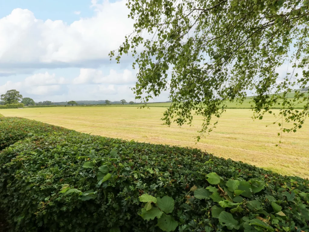 sc_1749739861_1177745_37