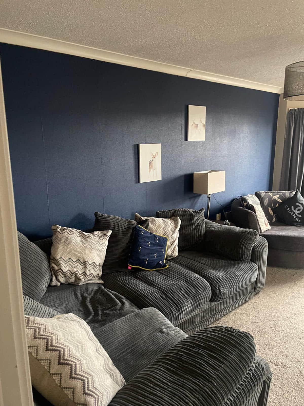 WhatsApp Image 2026-03-16 at 09.37.34trew